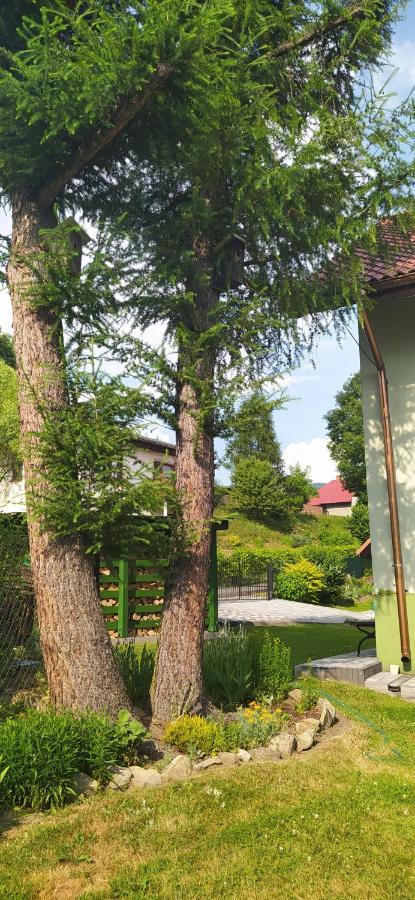 Pod Modrzewiami Milówka Exterior foto