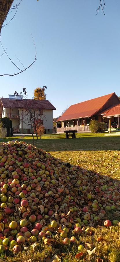 Pod Modrzewiami Milówka Exterior foto
