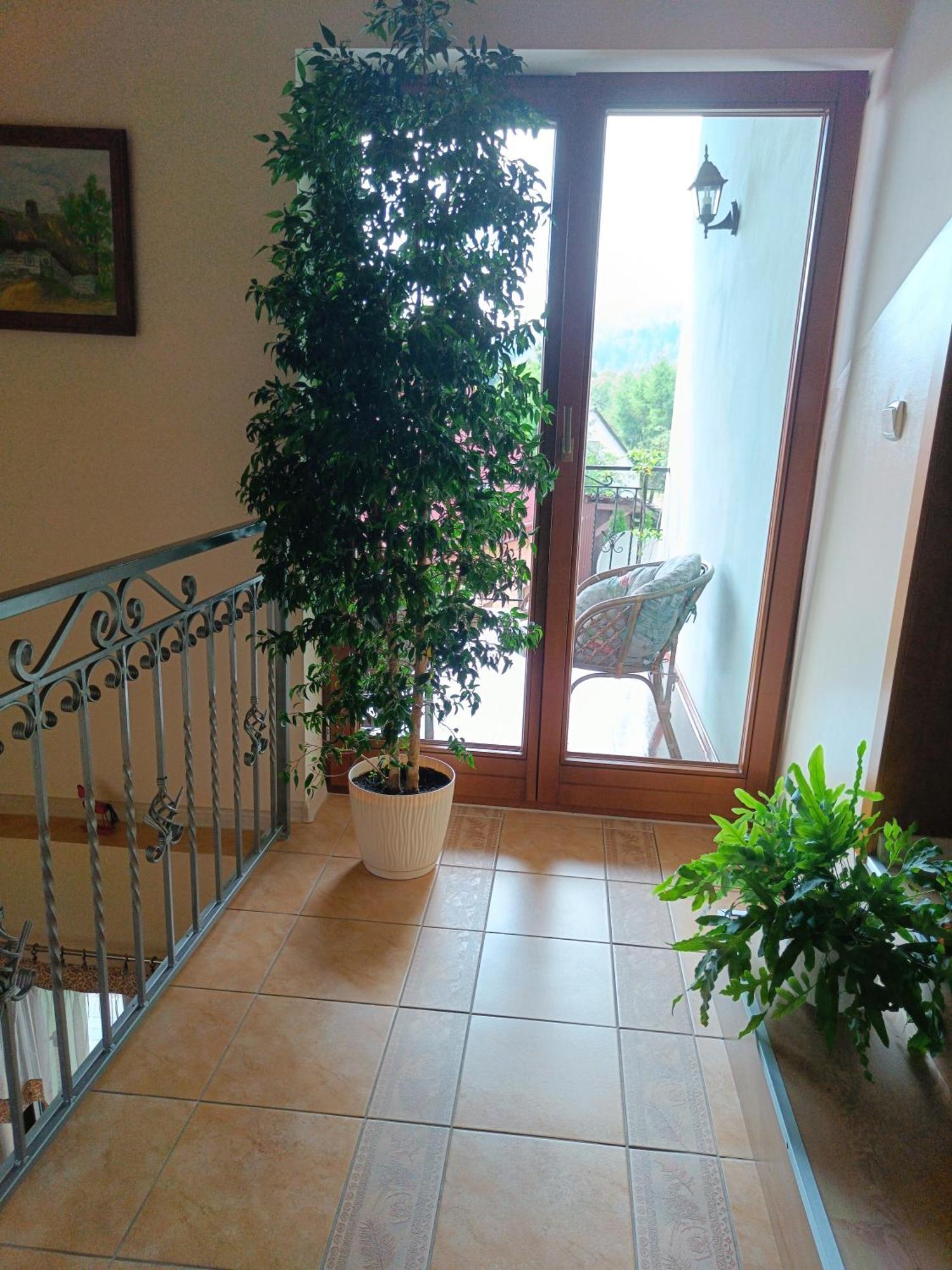 Pod Modrzewiami Milówka Exterior foto